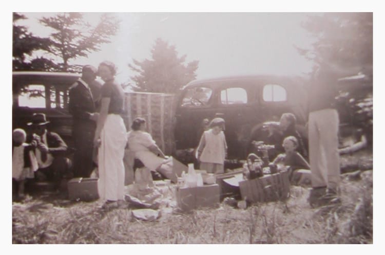 🦃Thanksgiving Edition 2025